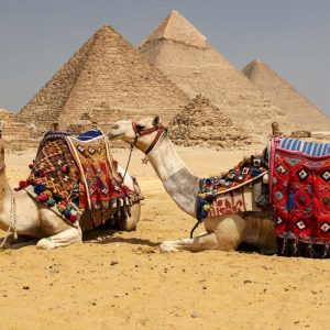 Cairo & Alexandria City Break