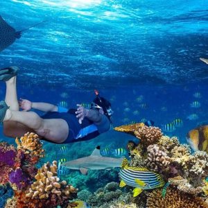 Boat Day Trip Tiran Island Sharm El Sheikh