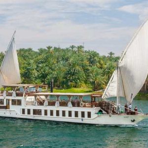 Royal Elite Nile Curies