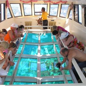 Glass Bottom Boat Trip Sharm El Sheikh